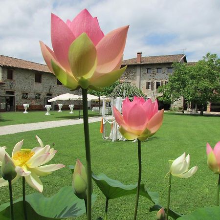Agriturismo Il Vagabondo Buttrio Экстерьер фото