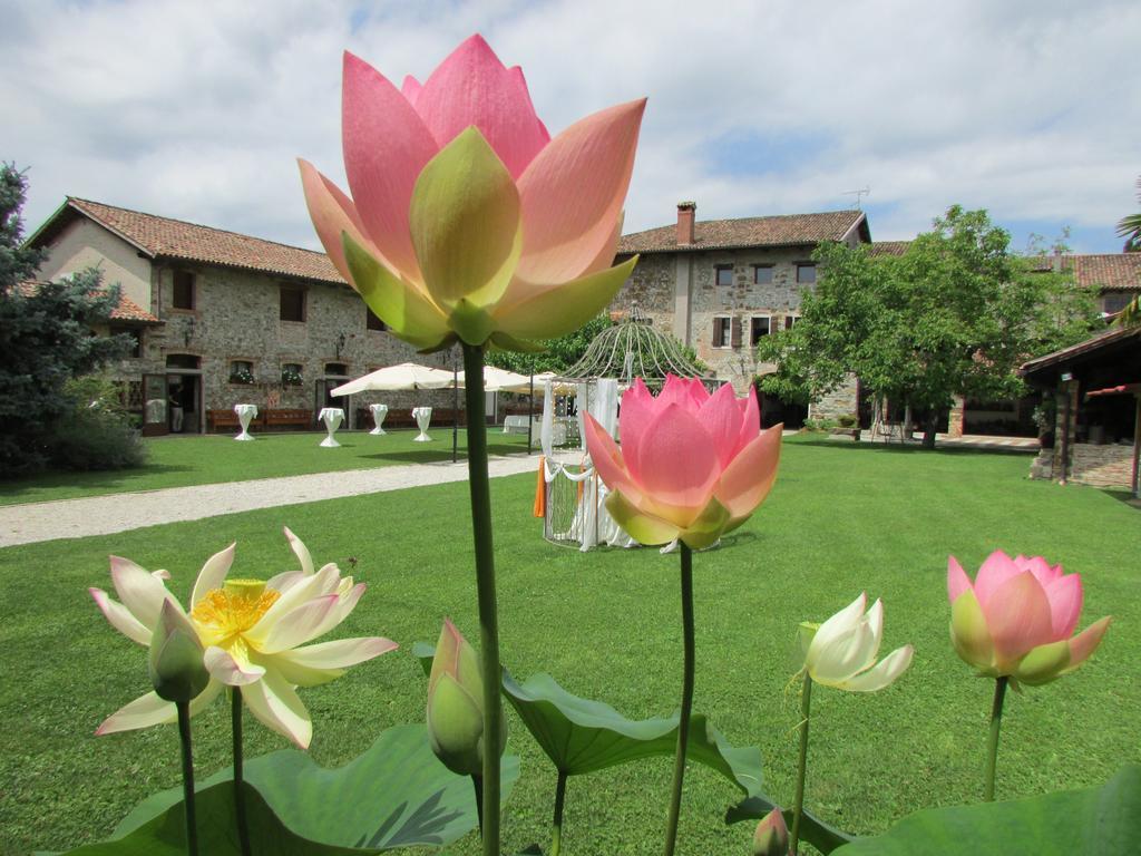 Agriturismo Il Vagabondo Buttrio Экстерьер фото